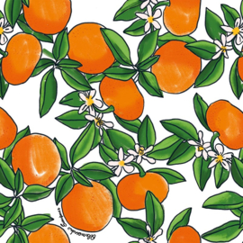 Hookedonwalls Enriquezland behang Tangerine 25540