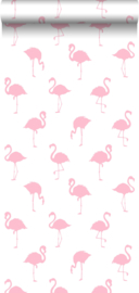 Esta Home Jungle Fever behang Flamingo's 138992