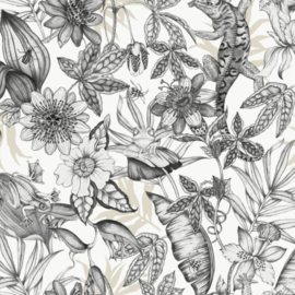 York Wallcoverings Blooms behang Rainforest BL1703