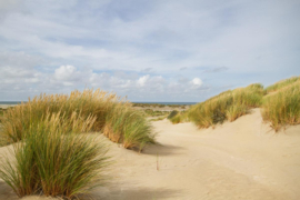 Papermoon Fotobehang Duingras Aan Zee