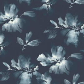 York Wallcoverings Candice Olson Tranquil behang Midnight Blooms SO2470