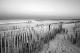 Papermoon Fotobehang Zandstrand Zwart-Wit