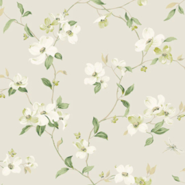 York Wallcoverings Blooms behang Dogwood BL1762