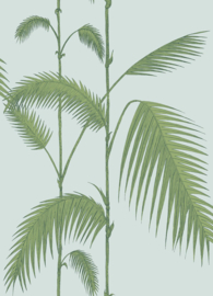 Cole & Son The Contemporary Collection behang Palm Leaves 66/2010