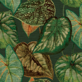 Hookedonwalls Tahiti behang Tropical Leaves TA25054