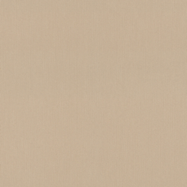 Rasch Deco Style behang 312416