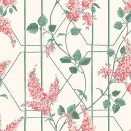 Cole & Son Botanical behang Wisteria 115/5012