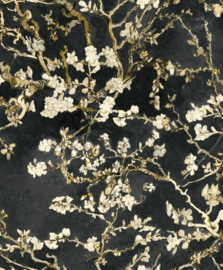 BN Van Gogh behang 17145 Almond Blossom