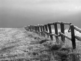 Papermoon Fotobehang Hek In Het Weiland Zwart-Wit