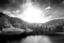 Papermoon Fotobehang Meer Aan Het Bos Zwart-Wit