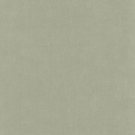 Casadeco So Color 6 behang Etamine Vert Tilleul SOCO 200257447