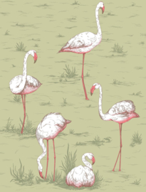 Cole & Son Icons behang Flamingos 112/11038