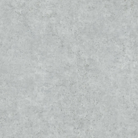 Dutch Wallcoverings Loft behang Beton L69329