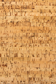 Noordwand Wandkurk kurk tegel Rome 2098