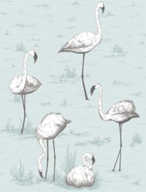 Cole & Son The Contemporary Collection behang Flamingos 95/8047