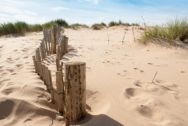 Papermoon Fotobehang Duinen Zandstrand