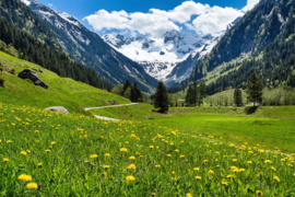 Papermoon Fotobehang Alpine Landschap