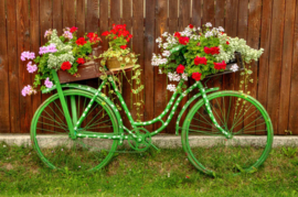 Papermoon Fotobehang Vintage Fiets Met Bloemen