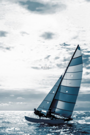 Esta Home Regatta Crew surf edition PhotowallXL Sailingboat 158846