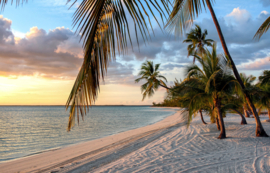 Papermoon Fotobehang Strand Met Palmbomen