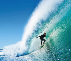 Esta Home Regatta Crew surf edition PhotowallXL Surfing 158852