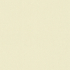 Versace Home VI behang 38384-3