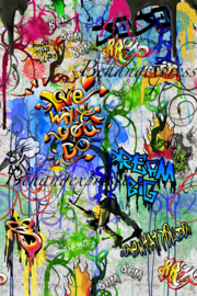 Behangexpresse COLORchoc Wallprint Graffiti Park INK 6071