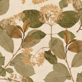 Noordwand Herbarium behang HE27231