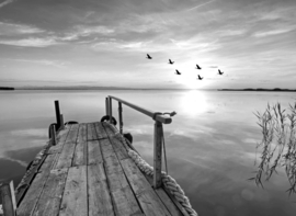 Papermoon Fotobehang Steiger Aan Het Water Zwart-Wit