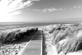 Papermoon Fotobehang Grasduinen Strand Zwart-Wit