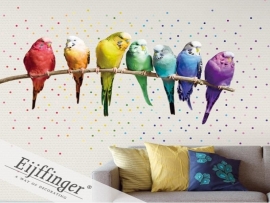 Eijffinger Wallpower Wonders Rainbow Budgies 321518