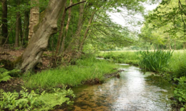 Noordwand Holland Fotobehang Staverdense Beek 7275