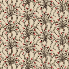 Cole & Son Ardmore Baobab behang Afrika Damask Sandstone & Ruby 129/5017