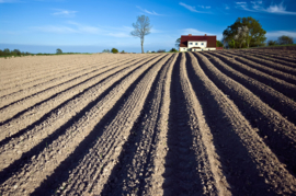 Papermoon Fotobehang Veld