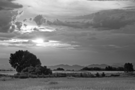 Papermoon Fotobehang Bewolkt Weiland Zwart-Wit