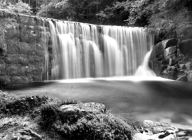 Papermoon Fotobehang Waterval In Het Bos Zwart-Wit