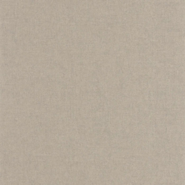 Casadeco So Color 6 behang Empreinte Taupe SOCO 88701622