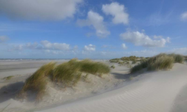 Noordwand Holland Fotobehang Schiermonnikoog Duinen III 0510