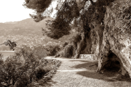 Papermoon Fotobehang Landschap Sepia