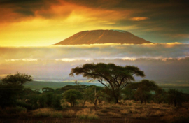 Papermoon Fotobehang Kilimanjaro En Wolken