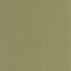 Casadeco So Color 6 behang Boaco Vert The SOCO 201307575