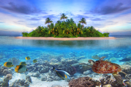 Papermoon Fotobehang Marine Life Maldives 97025