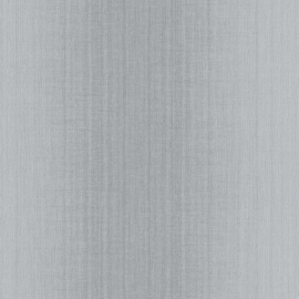 BN Pattern behang Ombre 5028649