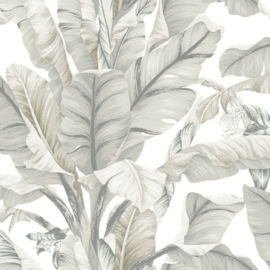 York Wallcoverings Black & White Resource Library behang Banana Leaf BW3972