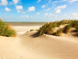 Papermoon Fotobehang Duinen Knokke-Heist