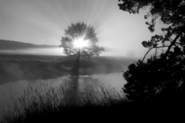 Papermoon Fotobehang Zonsondergang Door Boom Zwart-Wit