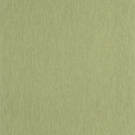 Caselio Elea behang Uni Mat Vert Kaki ELEA 107337120
