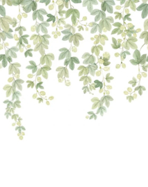 Casadeco Wonderwalls 3 behang Fruit Du Houblon Vert Feuillage S 202317805 NW