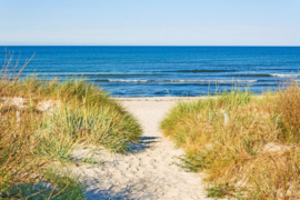 Papermoon Fotobehang Toegang Tot Het Strand