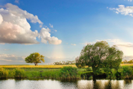 Papermoon Fotobehang Rivier Boom Landschap